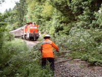 Beseitigung eines Baumes von Bahngleisen